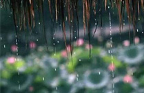 梅雨季节如何养生