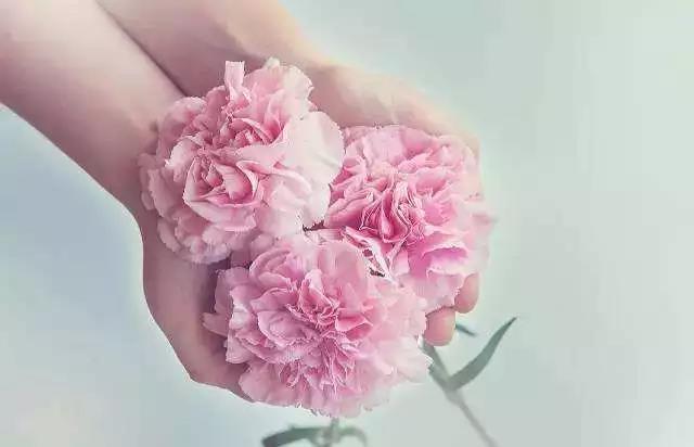 微信图片_20190308111957.jpg 微信图片_20190308111957.jpg