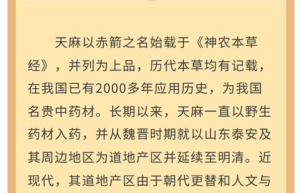 【膏方·中药】膏方中常见的中草药——天麻_14.jpg