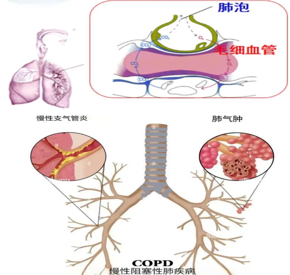 微信图片_20250704175110.jpg 微信图片_20250704175110.jpg